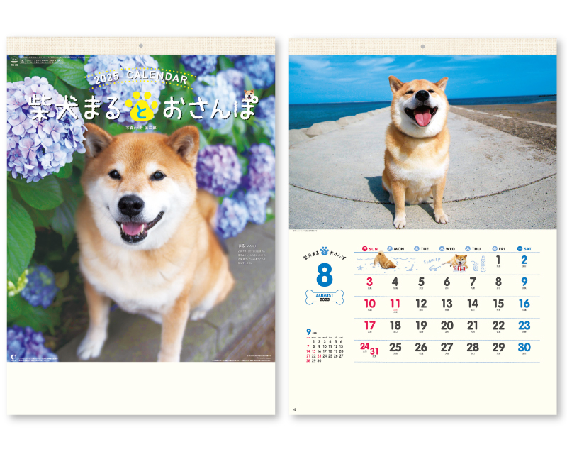 2025年 NK-35 柴犬まるとおさんぽ【10部から名入れ対応】【壁掛けカレンダー】
