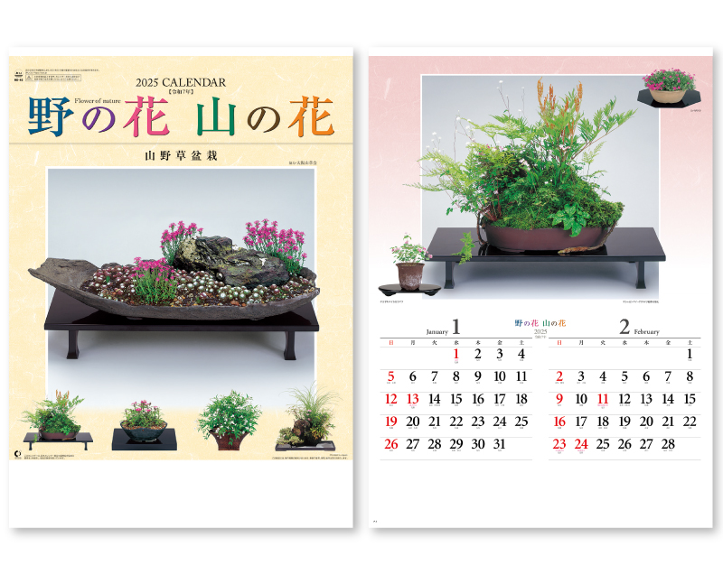 2025年 NK-46 野の花・山の花(山野草盆栽集)【壁掛けカレンダー】【名入れ印刷 無印50部から】