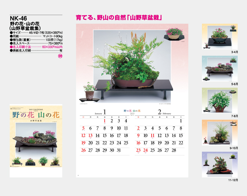 2025年 NK-46 野の花・山の花(山野草盆栽集)【壁掛けカレンダー】【名入れ印刷 無印50部から】-2