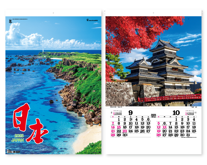 2025年 TD-501 トーハン・DX 日本 フイルム【壁掛けカレンダー】【名入れ印刷 無印50部から】