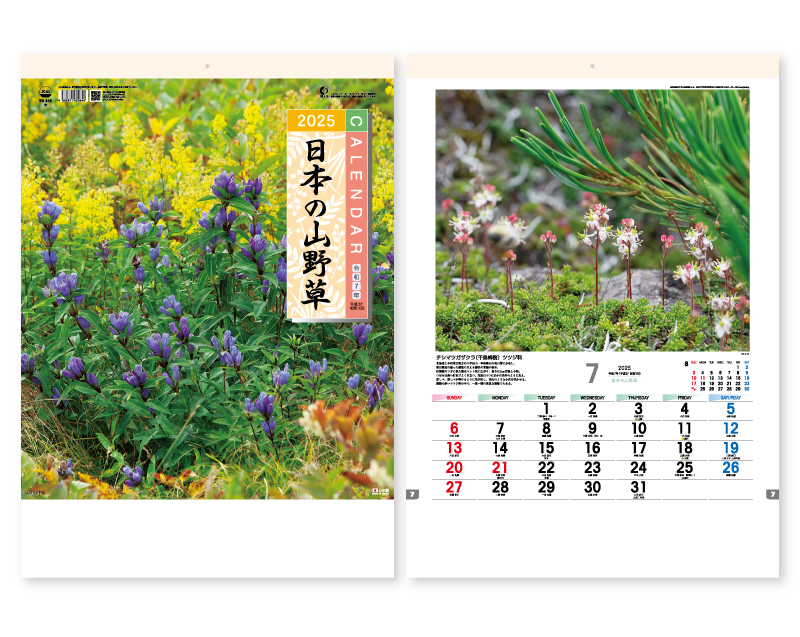 2025年 TD-818 日本の山野草【壁掛けカレンダー】【名入れ印刷 無印50部から】-1
