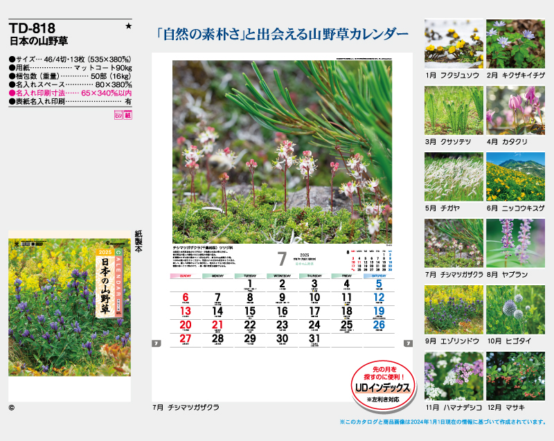 2025年 TD-818 日本の山野草【壁掛けカレンダー】【名入れ印刷 無印50部から】-2