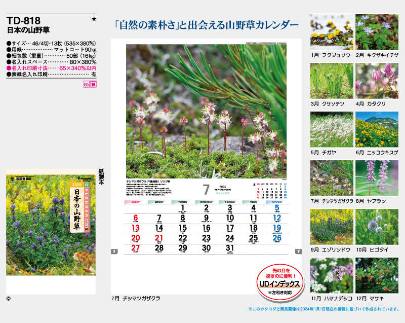 2025年 TD-818 日本の山野草【10部から名入れ対応 壁掛けカレンダー】-2