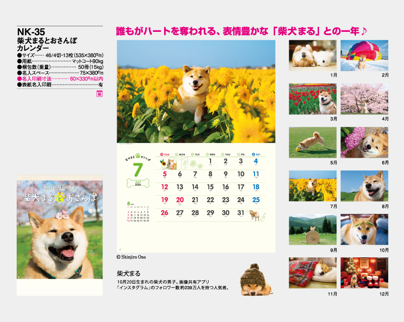 2026年 NK-35 柴犬まるとおさんぽ【10部から名入れ対応】【壁掛けカレンダー】-2