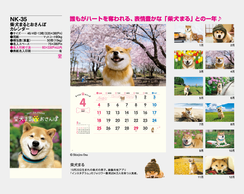 2027年 NK-35 柴犬まるとおさんぽ【10部から名入れ対応】【壁掛けカレンダー】-2