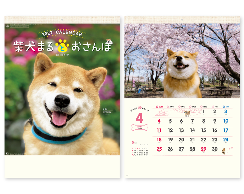 2027年 NK-35 柴犬まるとおさんぽ【10部から名入れ対応】【壁掛けカレンダー】
