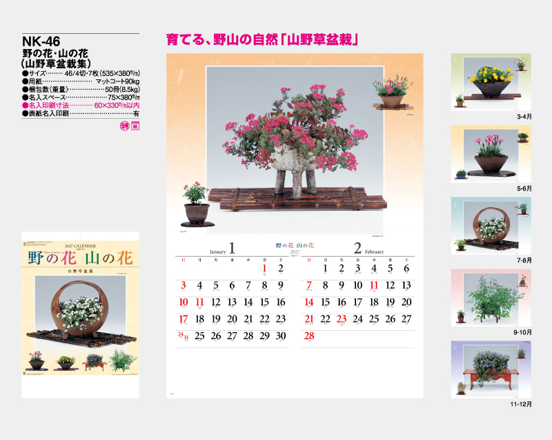 2027年 NK-46 野の花・山の花(山野草盆栽集)【壁掛けカレンダー】【名入れ印刷 無印50部から】-2