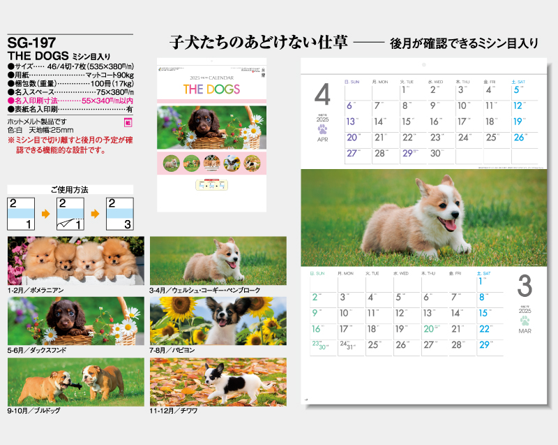 2025年 SG-197 THE DOGS ミシン目入り 【壁掛けカレンダー】【名入れ印刷 無印50部から】-2