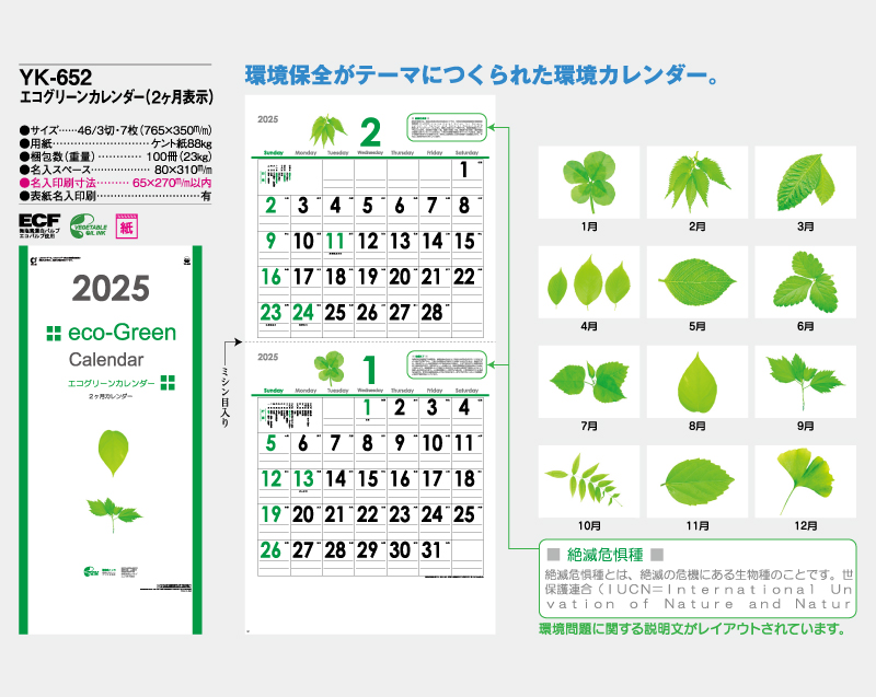 2025年 YK-652 エコグリーンカレンダー(2ヶ月表示)【壁掛けカレンダー】【名入れ印刷 無印50部から】-2