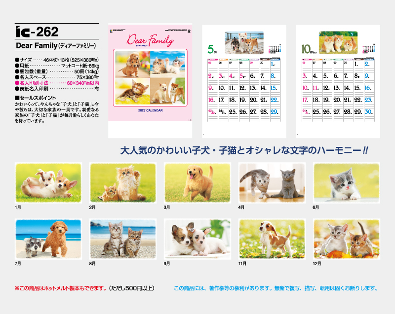 2027年 IC-262 Dear Family(ディアーファミリー）【壁掛けカレンダー】【名入れ印刷 無印50部から】-2