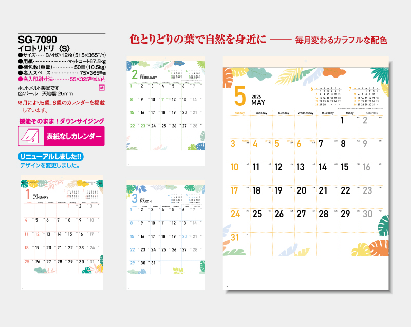 2026                                                                                                                                                                                                                                                                                                                                                                                                                                             年 SG-7090 イロトリドリ(S)【表紙なし6枚】【壁掛けカレンダー】【名入れ印刷 無印50部から】-2