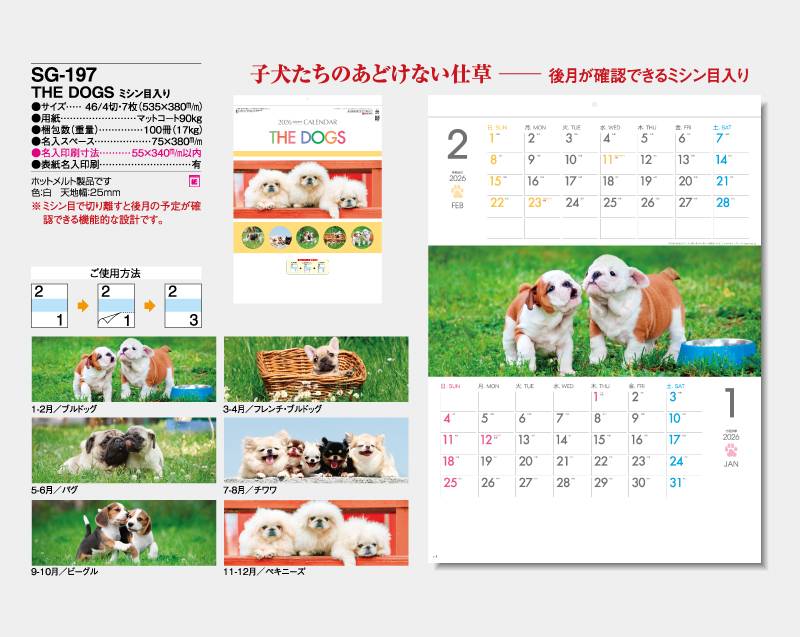 2026年 SG-197 THE DOGS ミシン目入り 【壁掛けカレンダー】【名入れ印刷 無印50部から】-2