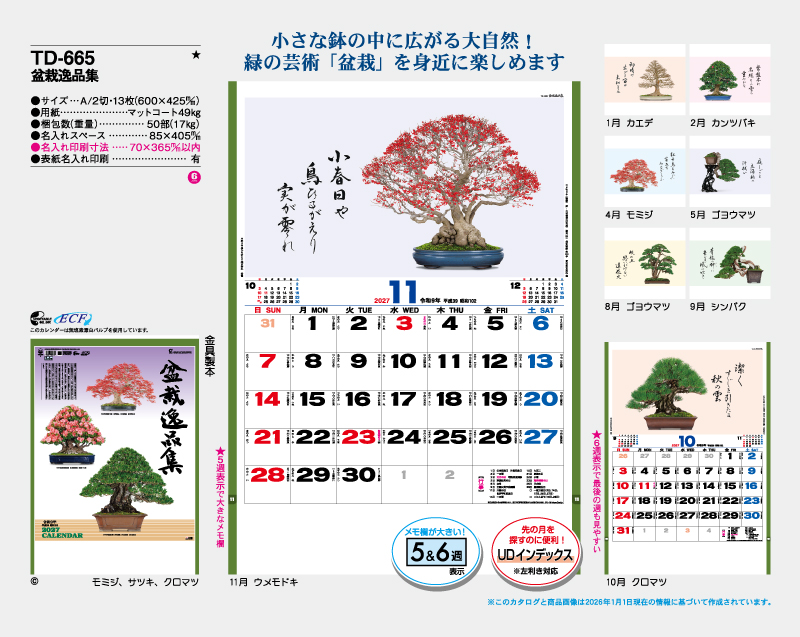 2027年 TD-665 盆栽逸品集【壁掛けカレンダー】【名入れ印刷 無印50部から】-2