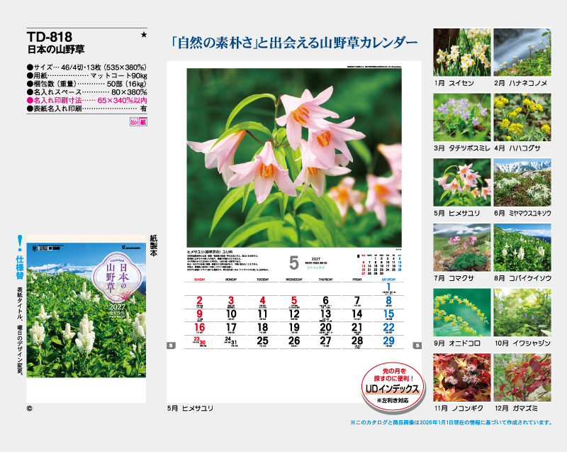 2027年 TD-818 日本の山野草【10部から名入れ対応 壁掛けカレンダー】-2
