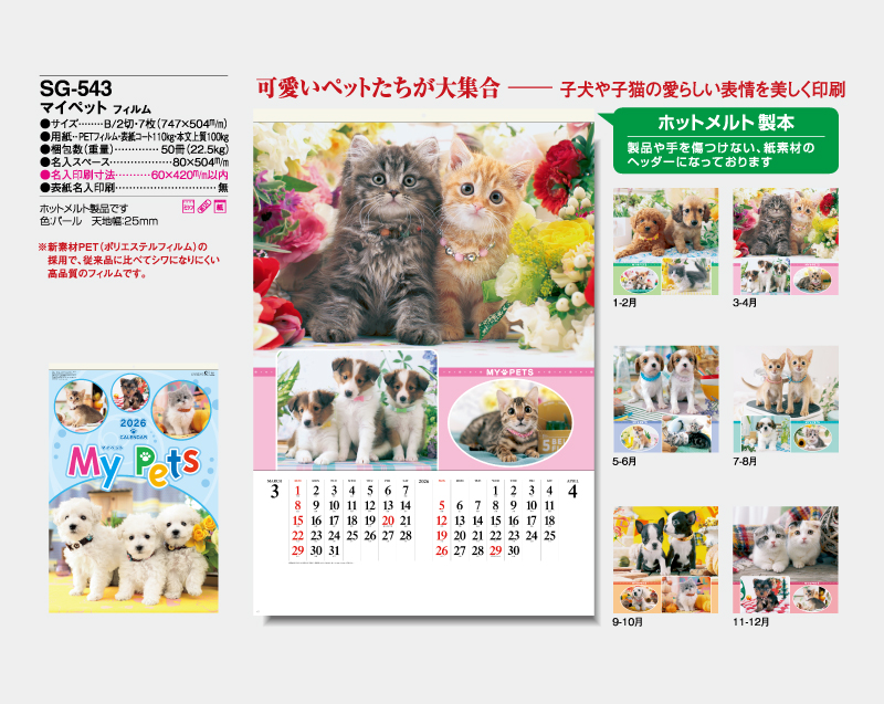 2026年 SG-543(SB-270 旧SB-200) マイペット フィルム【壁掛けフィルムカレンダー】【名入れ印刷 無印50部から】-2
