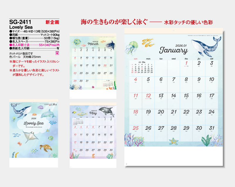 【新企画】2026年 SG-2411 Lovely Sea【壁掛けカレンダー】【名入れ印刷 無印50部から】-2