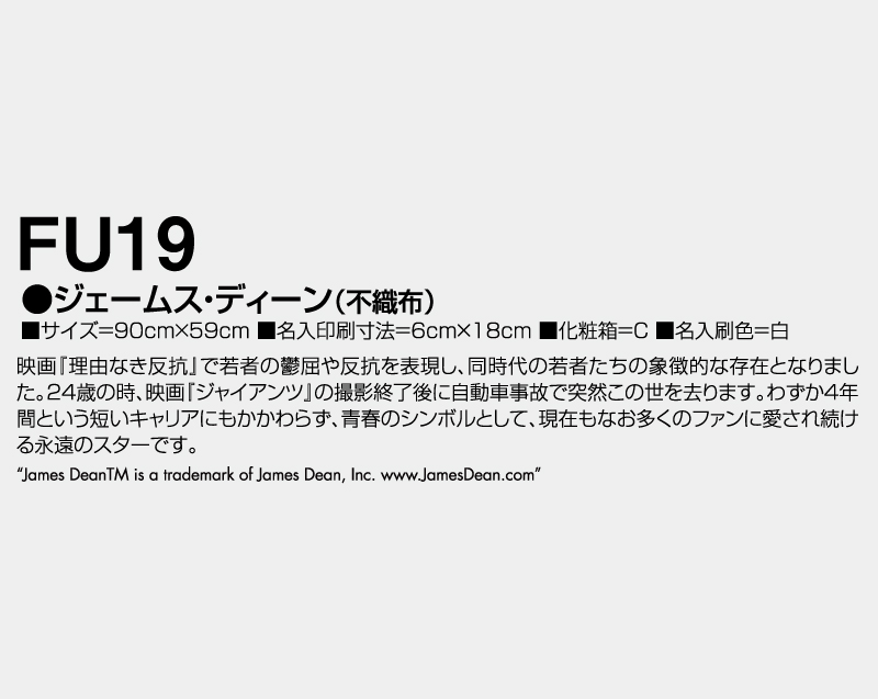 2027年 FU-19 ジェームス・ディーン(不織布)【壁掛けカレンダー不織布年表】【名入れ印刷 無印50部から】-3