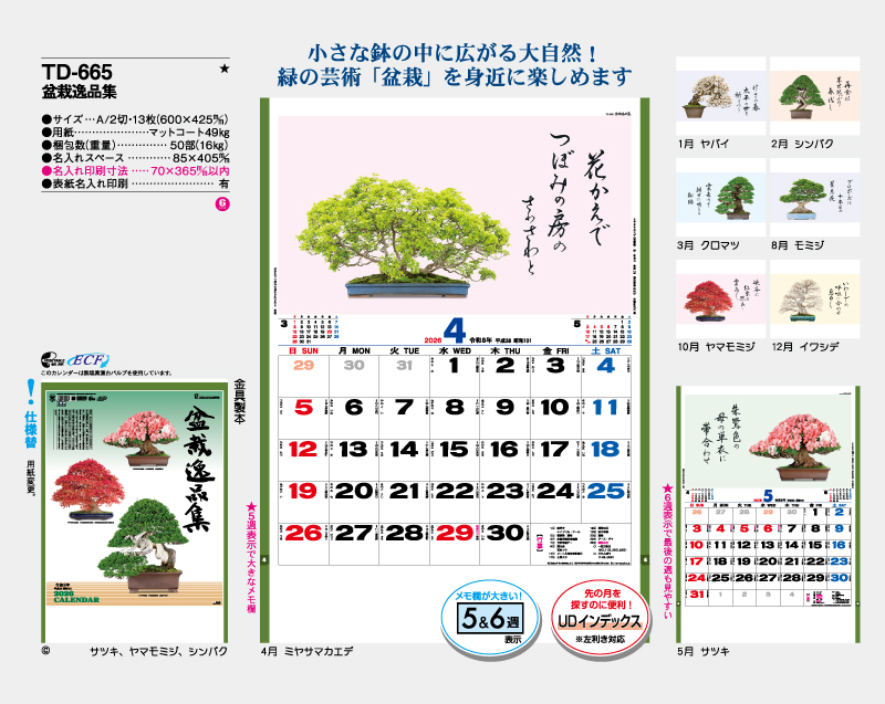 2026年 TD-665 盆栽逸品集【10部から名入れ対応 壁掛けカレンダー】-2