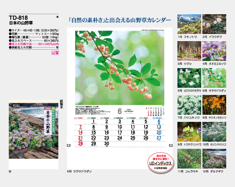 2026年 TD-818 日本の山野草【10部から名入れ対応 壁掛けカレンダー】-2