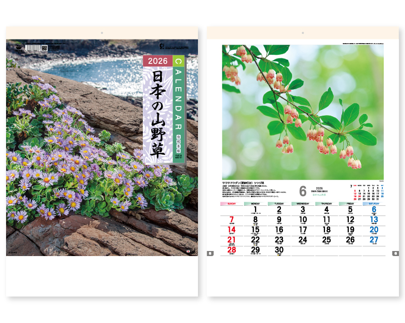2026年 TD-818 日本の山野草【10部から名入れ対応 壁掛けカレンダー】