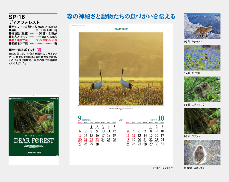 2026年 SP-16 ディアフォレスト【壁掛けカレンダー】【名入れ印刷 無印50部から】-2