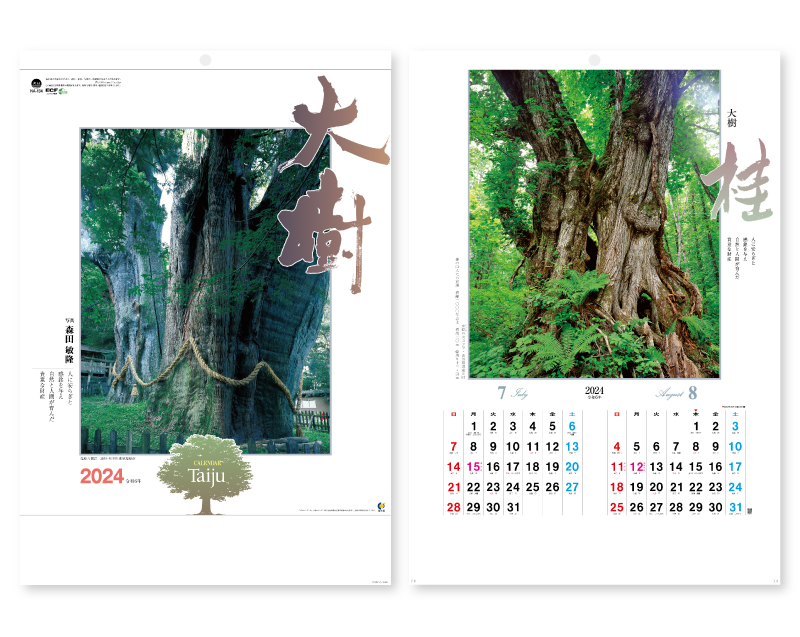 2024年 NA-134 大樹【壁掛けカレンダー】【名入れ印刷 無印50部から】