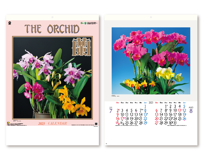 2023年 MW-16 4切 蘭(花)【壁掛けカレンダー】【名入れ印刷 無印50部から】